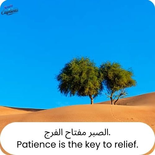 Arabic Love Quotes With English Translation