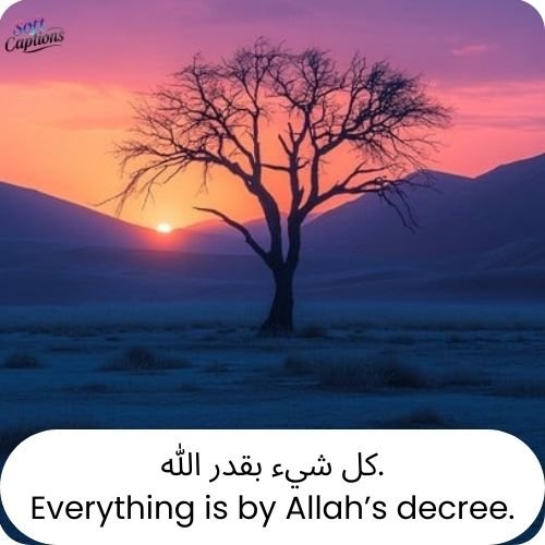 Ramadan Quotes in Arabic and English