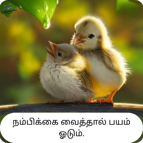 Life Quotes in Tamil 