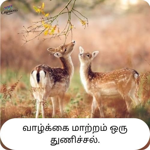 Life Quotes in Tamil 