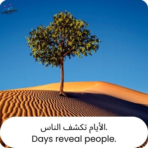 Arabic to English Quotes for Instagram 