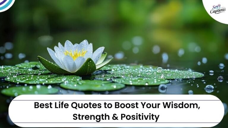 Best Life Quotes to Boost Your Wisdom, Strength & Positivity