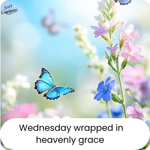 Wednesday Blessings and Prayers: Peace, Strength, and Faith for a Blessed Midweek