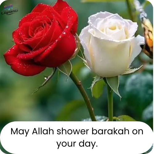 Beautiful Morning Blessings for Peace, Hope, Positivity