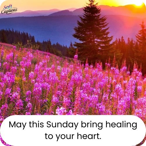  Best Good Morning Sunday Blessings 