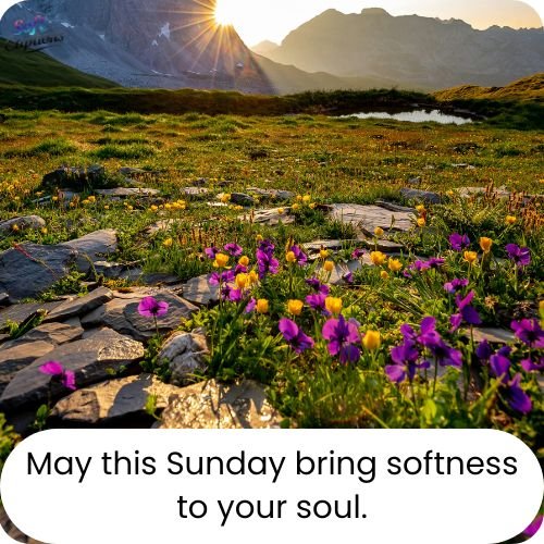  Best Good Morning Sunday Blessings to Brighten Your Day