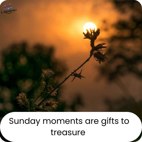 Positive Sunday Blessings to Start Your Day With Peace & Positivity