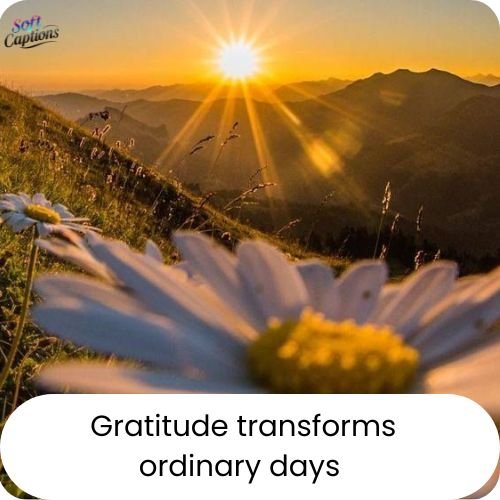 Positive Sunday Blessings to Start Your Day With Peace & Positivity